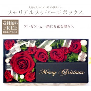 【メモリアルメッセージボックス Merry Chiristmas】